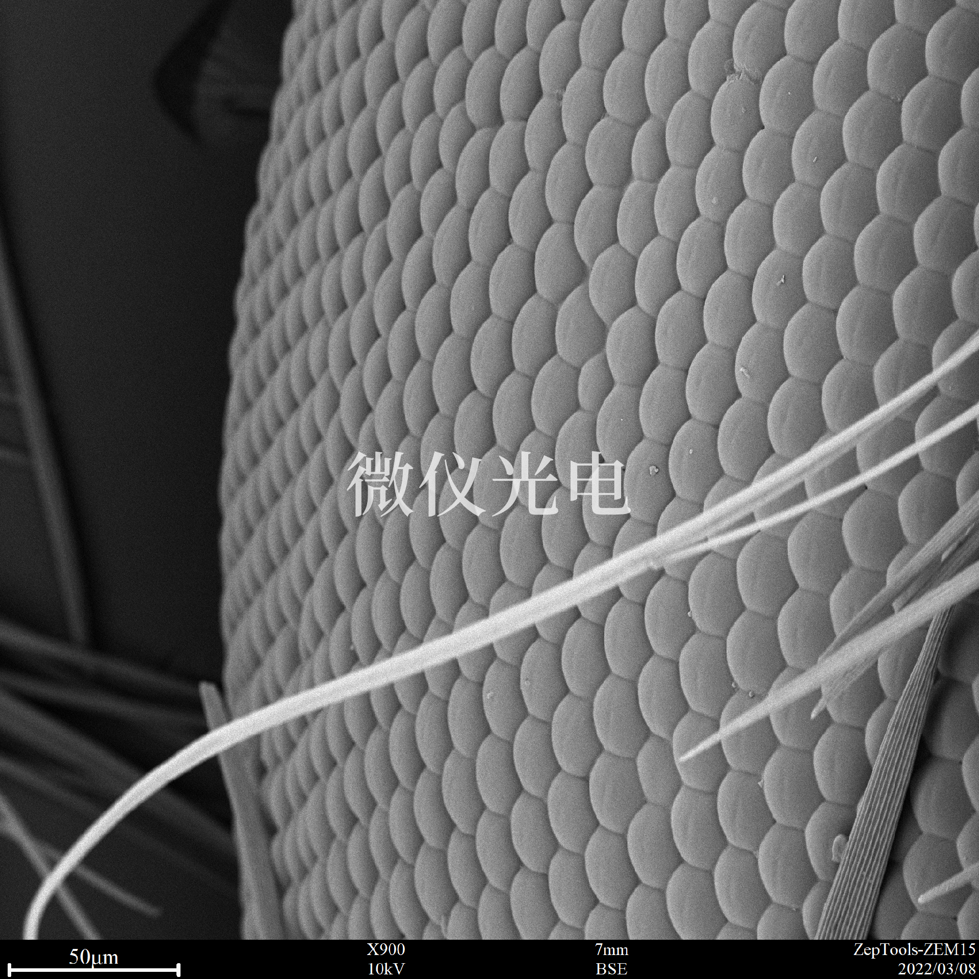 1670549378178289.png 1670549378178289.png